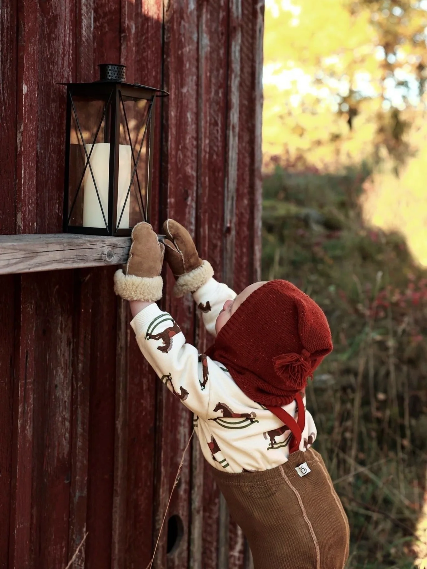 Acorn Brown Tights with Maple Leaf Braces - Image 5