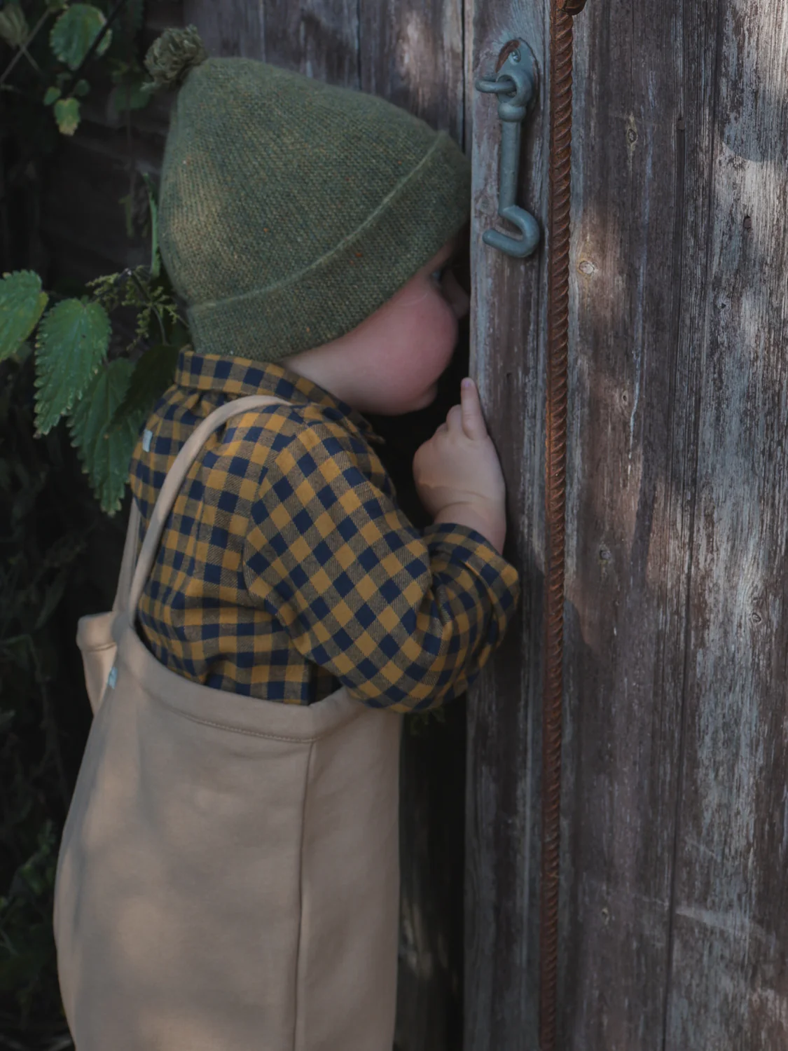 Blueberry Gingham Shirt - Image 6