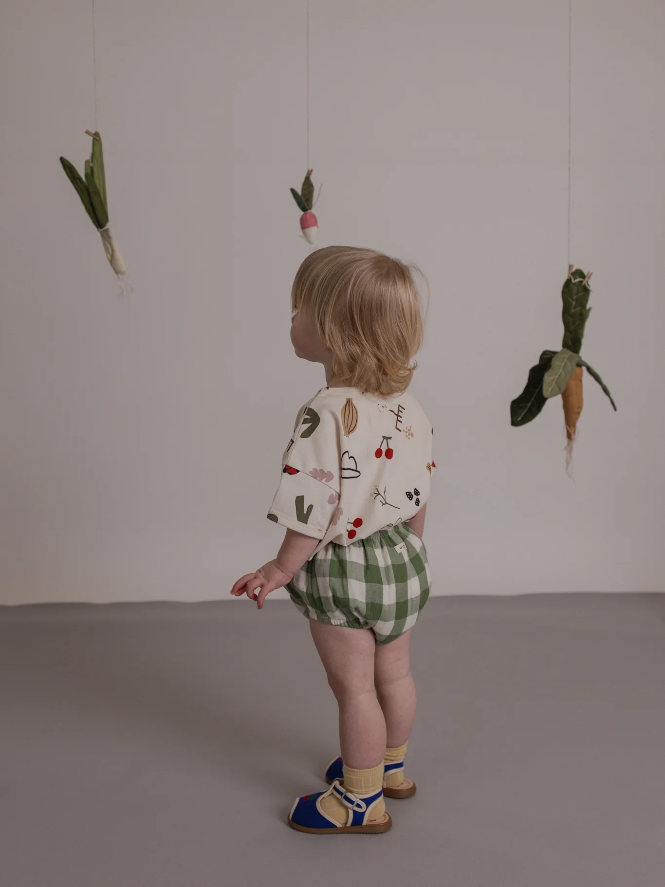 Dill Gingham Shortie - Image 4