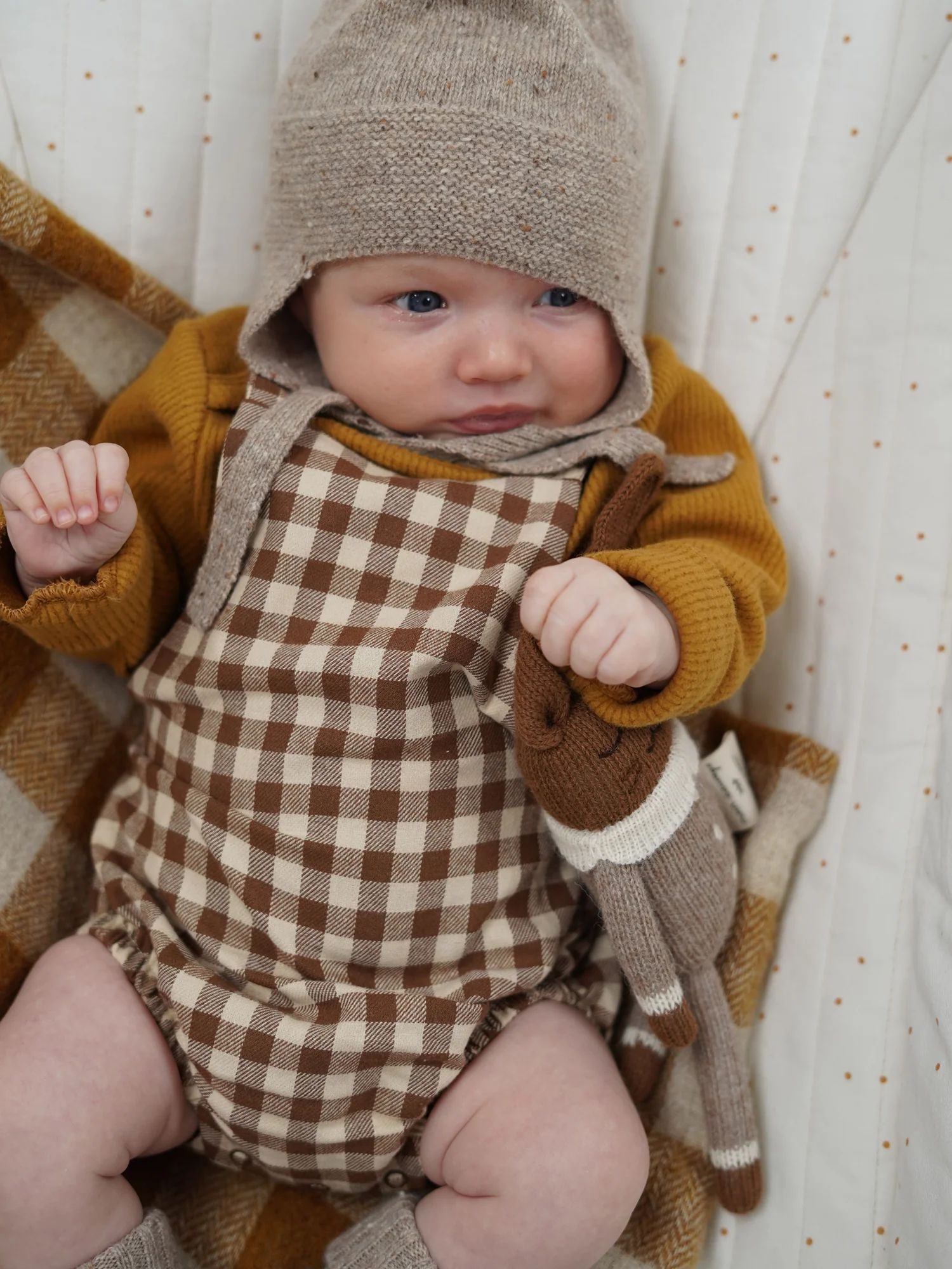 Chestnut Gingham Bloomers With Braces - Image 5
