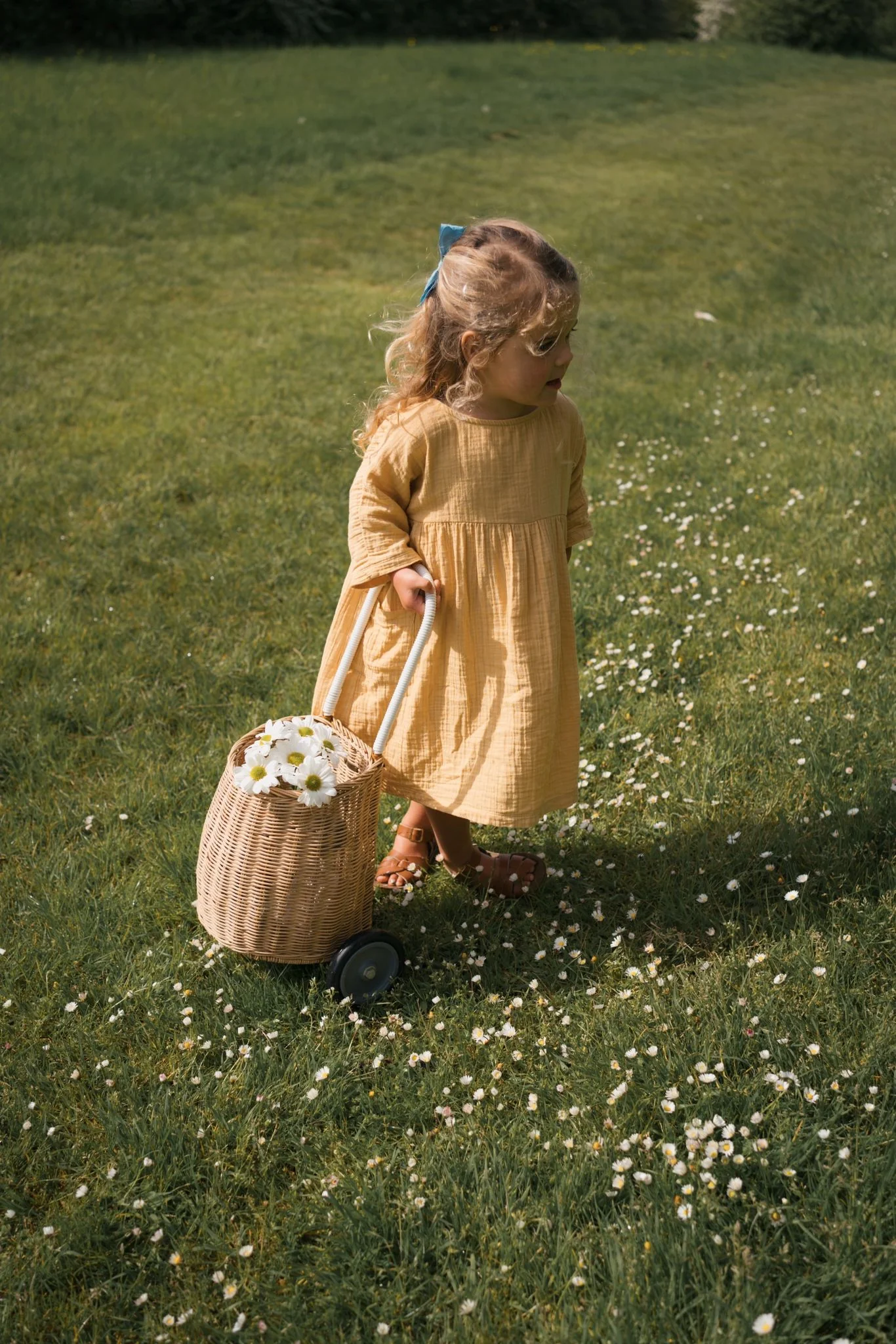 Honey Bella Dress - Image 3