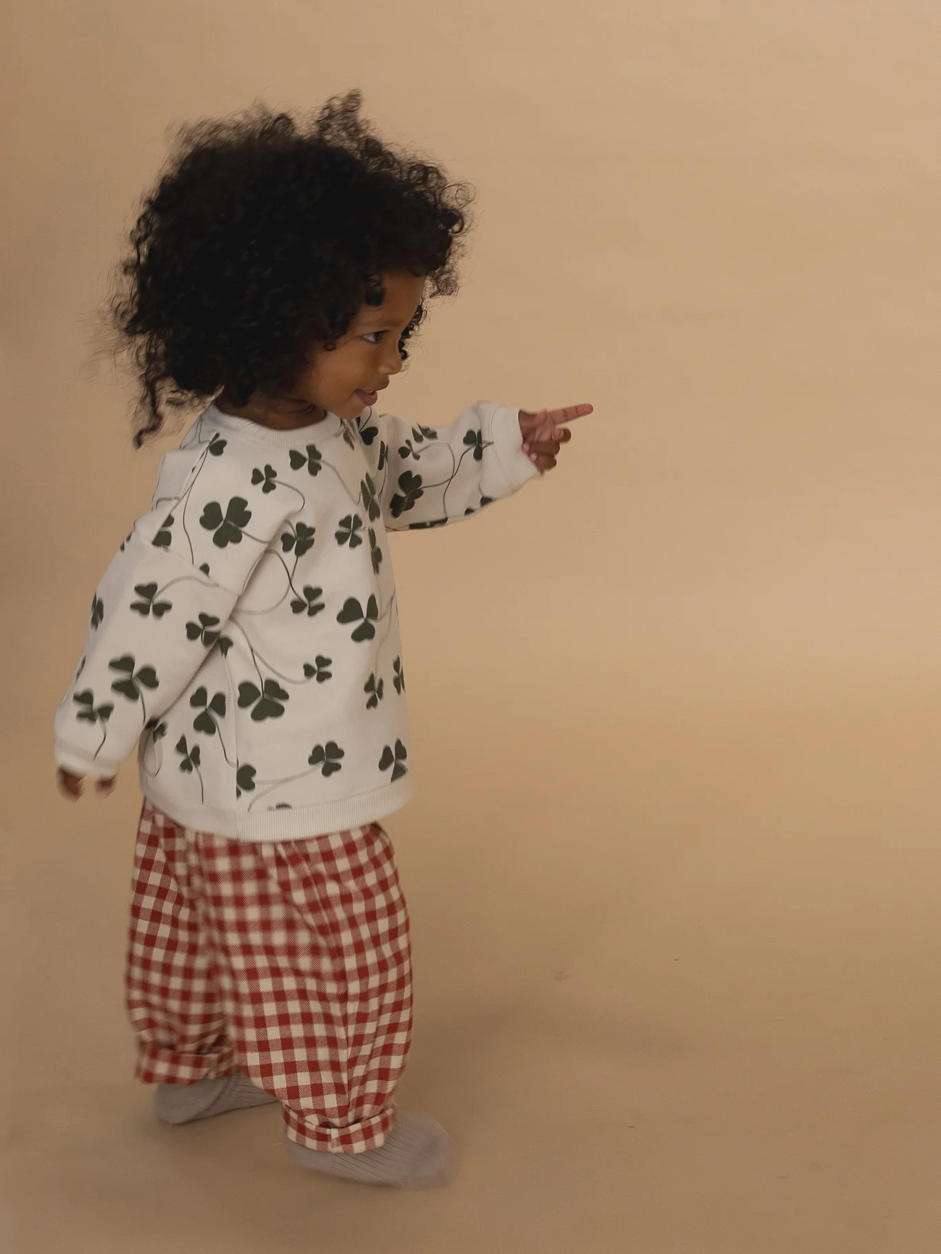 Paprika Gingham Carrot Pants - Image 7