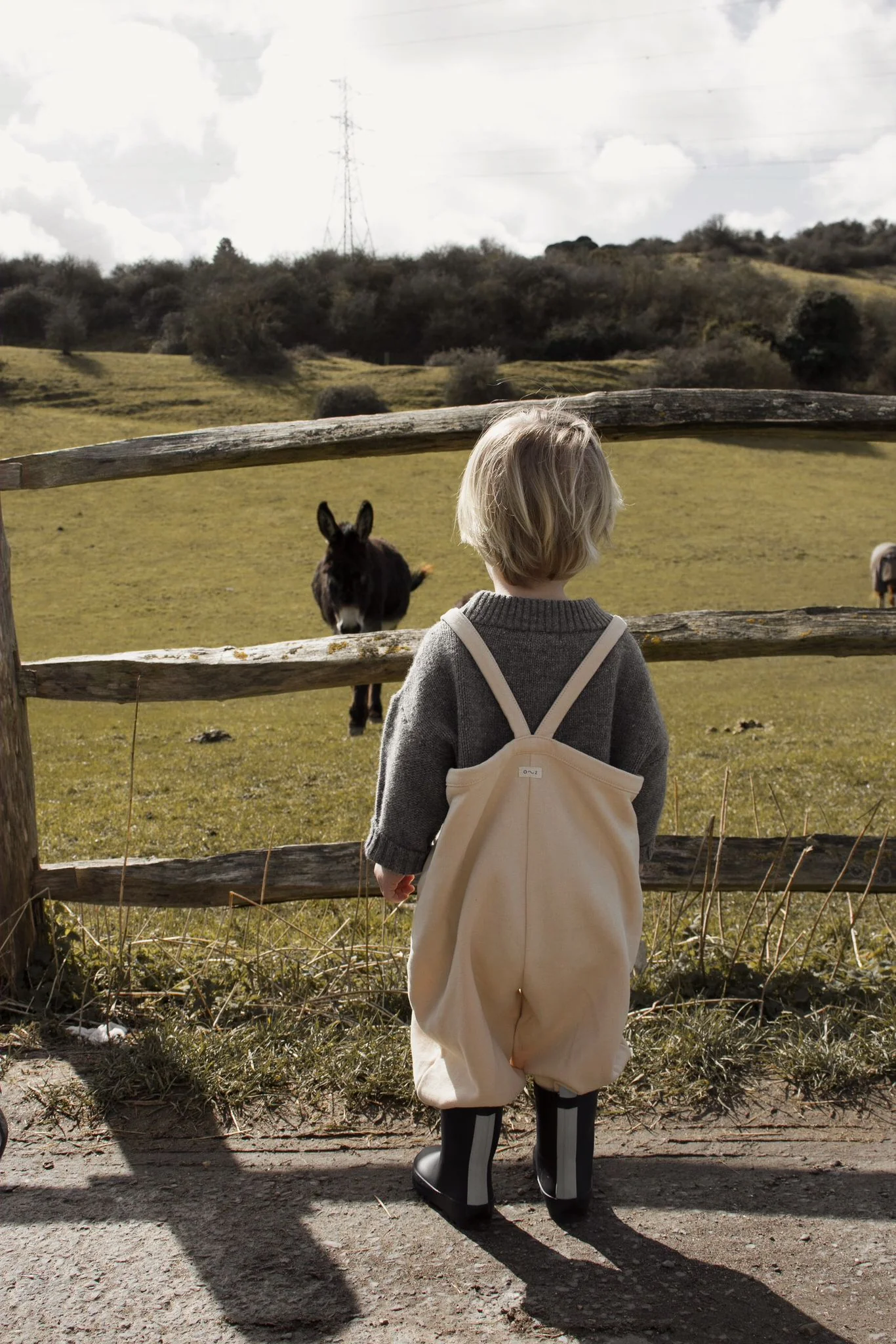 Pebble Oversized Dungarees - Image 3